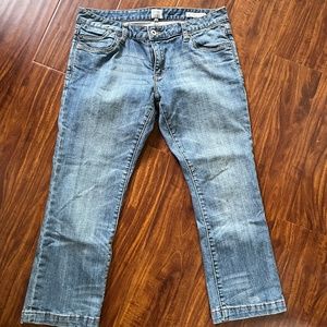 EUC Salt Broadway Crop Pants